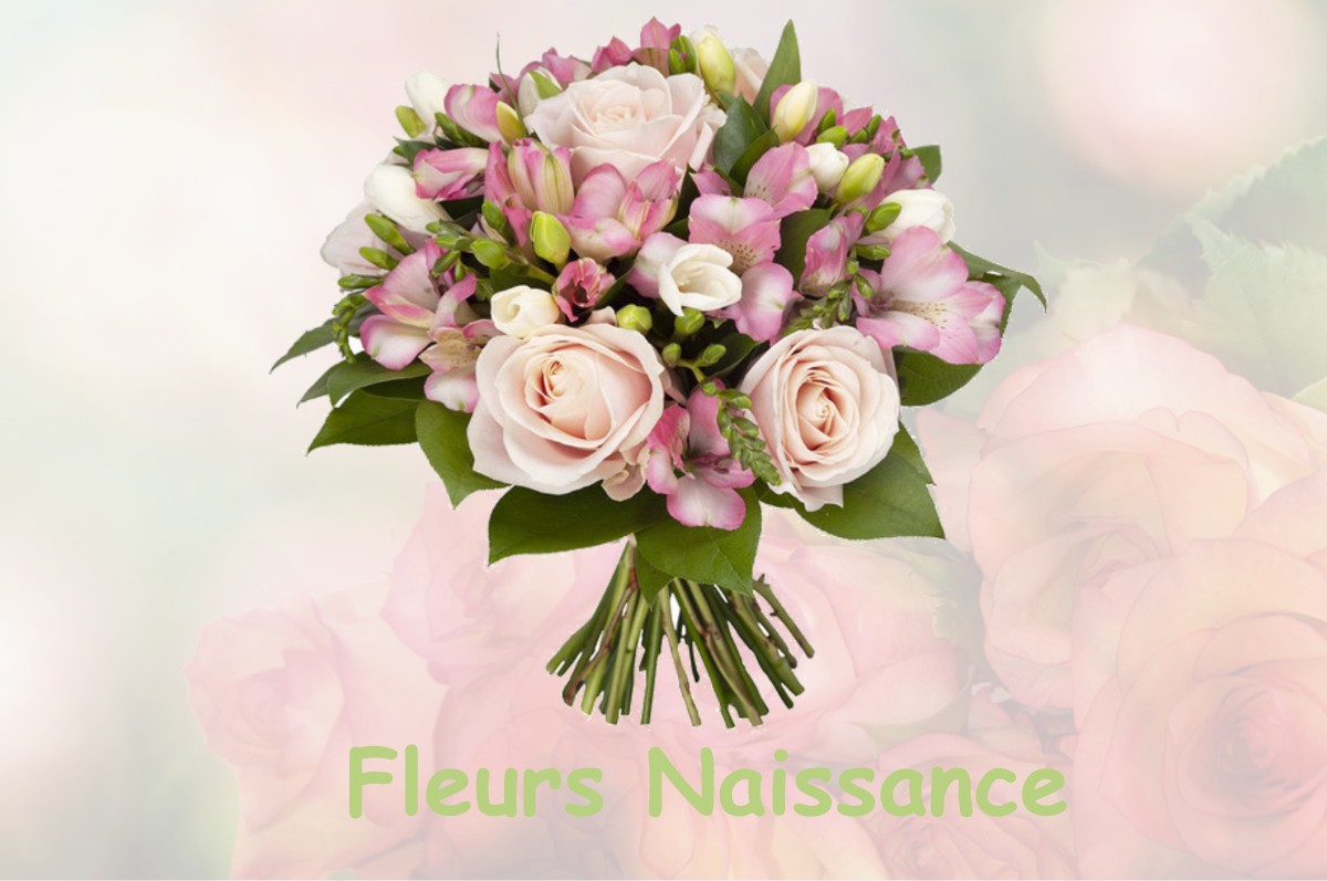 fleurs naissance HAGETMAU