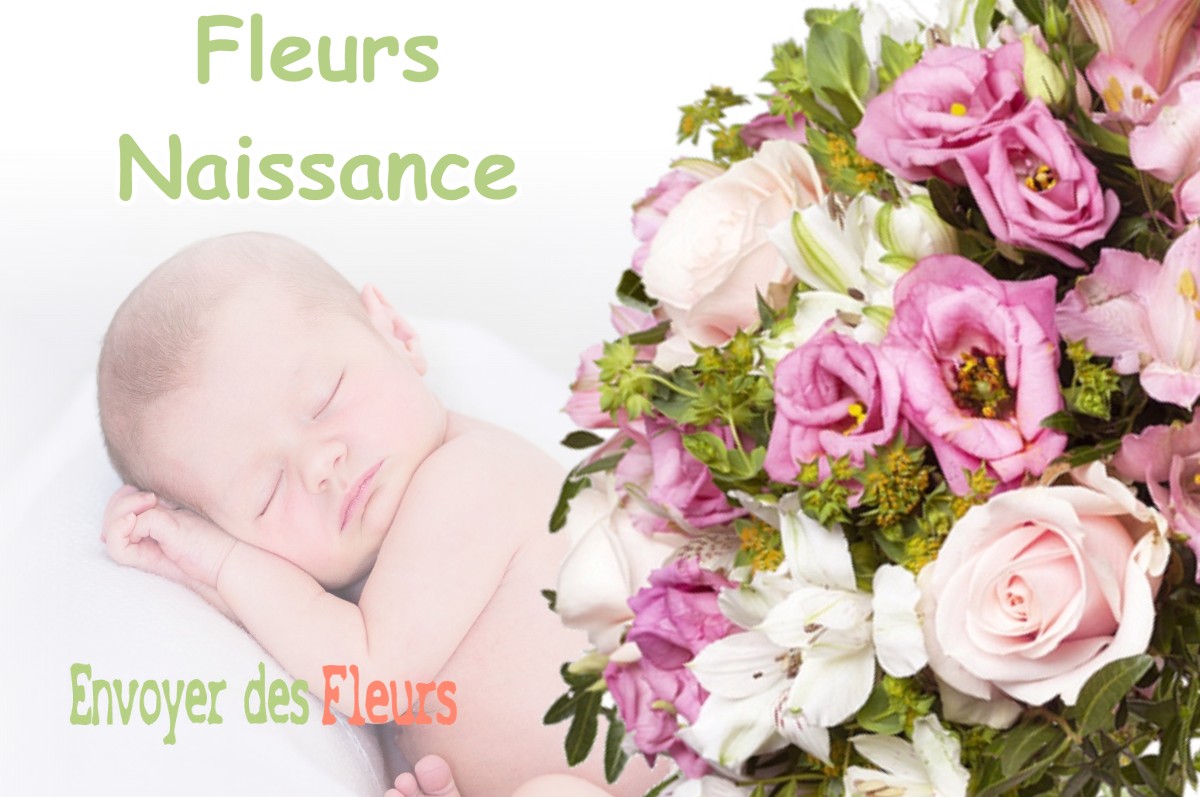 lIVRAISON FLEURS NAISSANCE à HAGETMAU